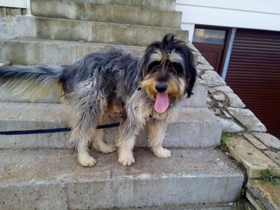 Ralf